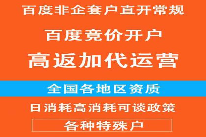 知名SEM服务公司成功案例分享
